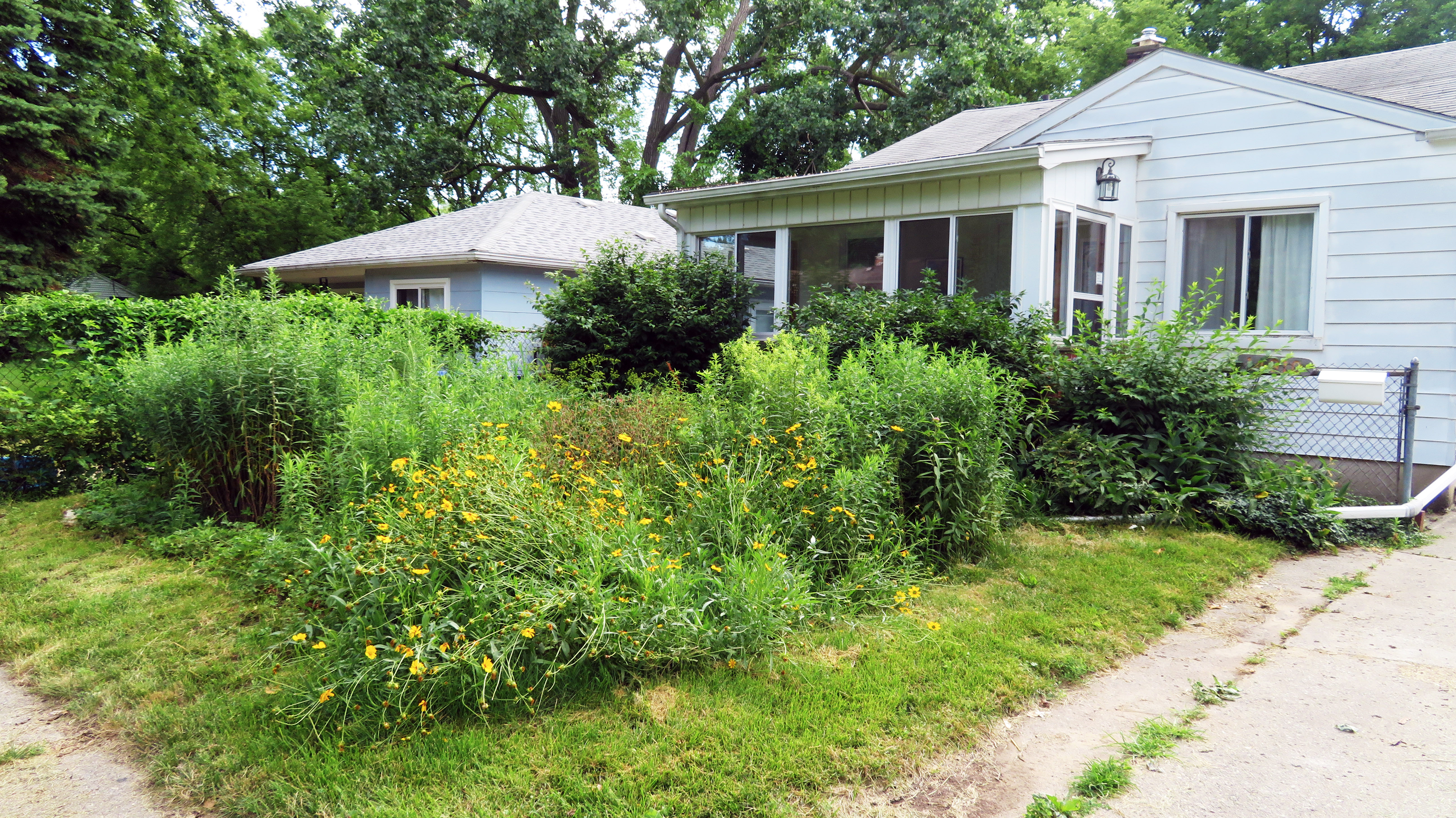 Billie's Rain Garden