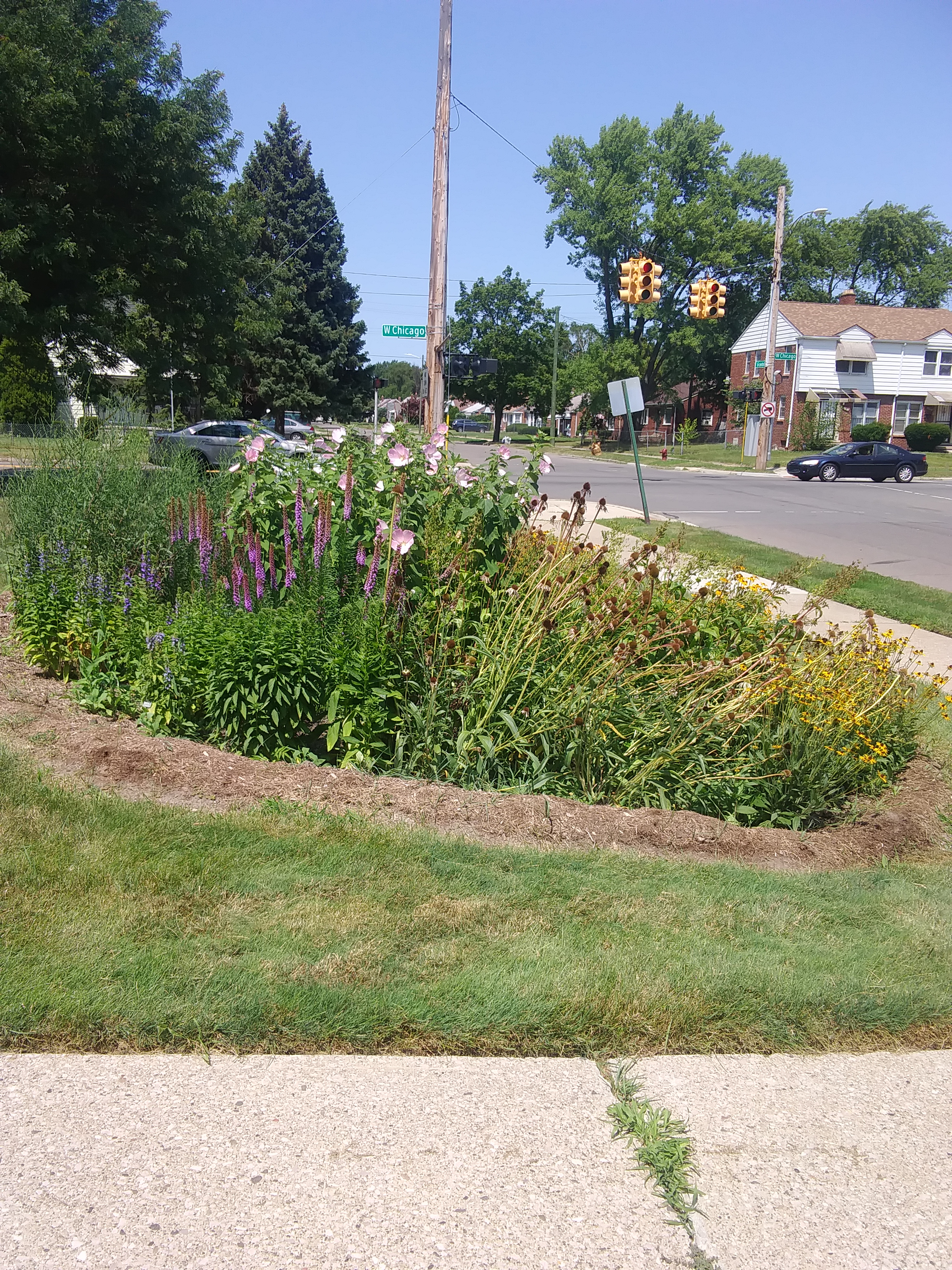 St. Suzanne Cody-Rouge Community Ctr. Rain Garden